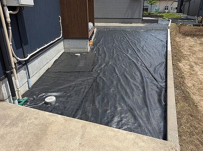 s-s-PXL_20250519_020504177